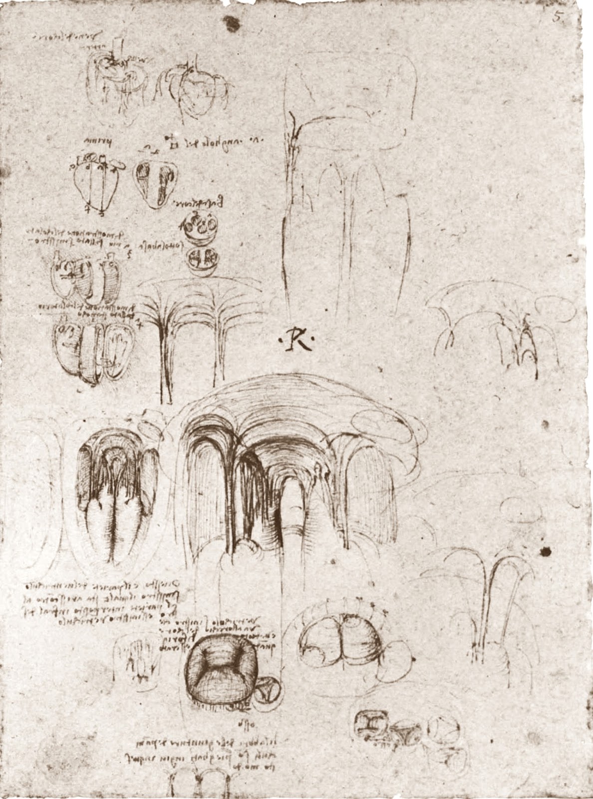 Leonardo+da+Vinci-1452-1519 (810).jpg